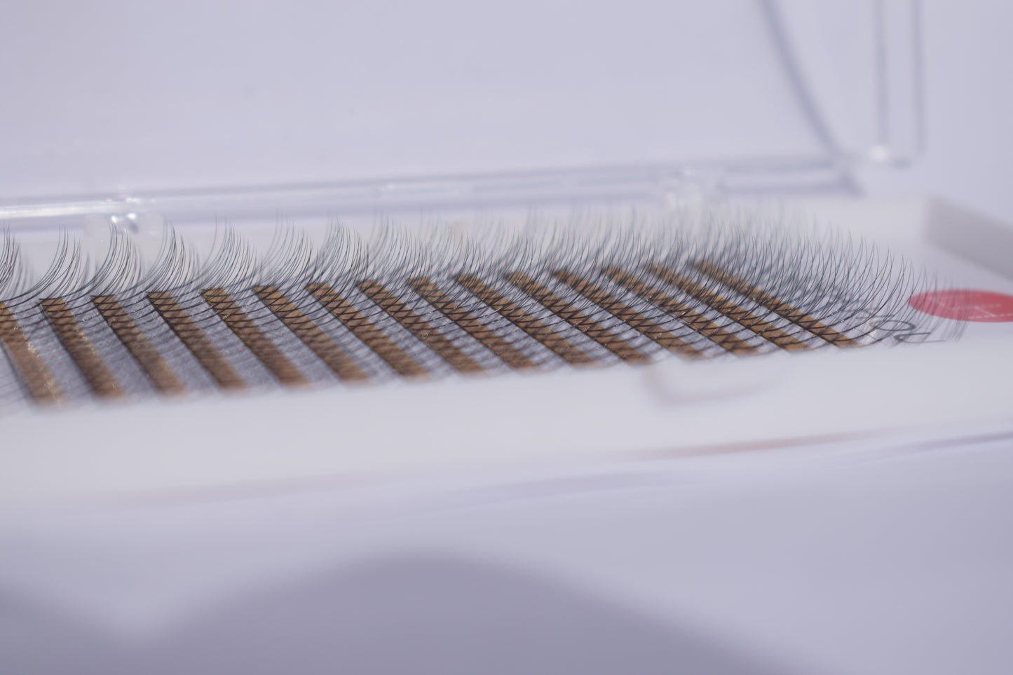 C Curl 4D Pre-Fanned Volume Lashes