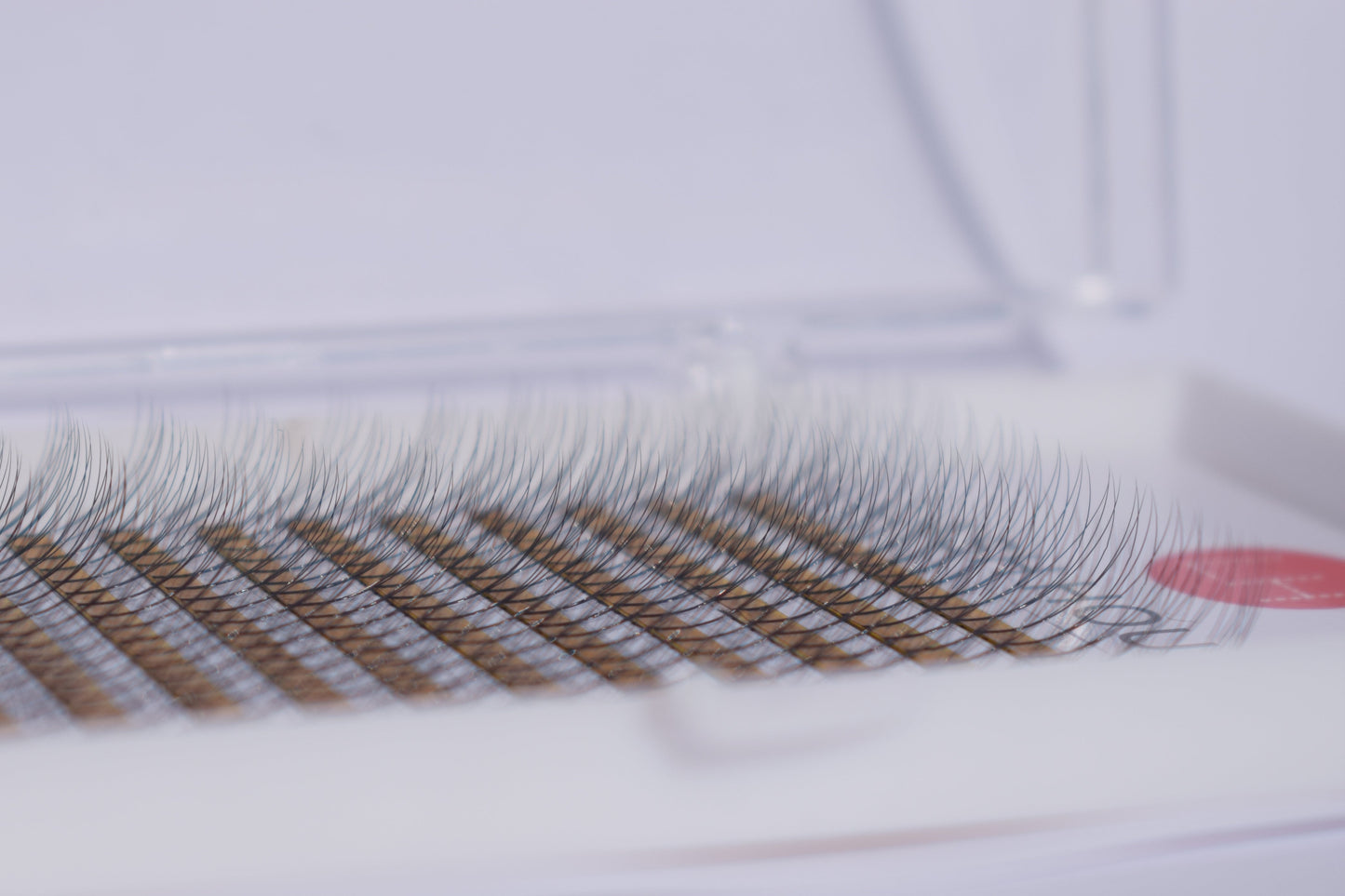 3D eyelashes prefanned for voulme lashes